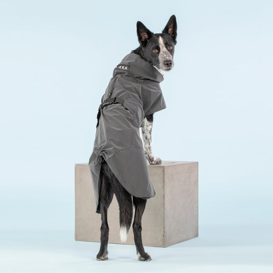 PAiKKA BLACK | Vollreflektierender Wintermantel für Hunde in Schwarz | Visibility Winterjacket for Dogs [glow in the dark] AKTiONSARTiKEL