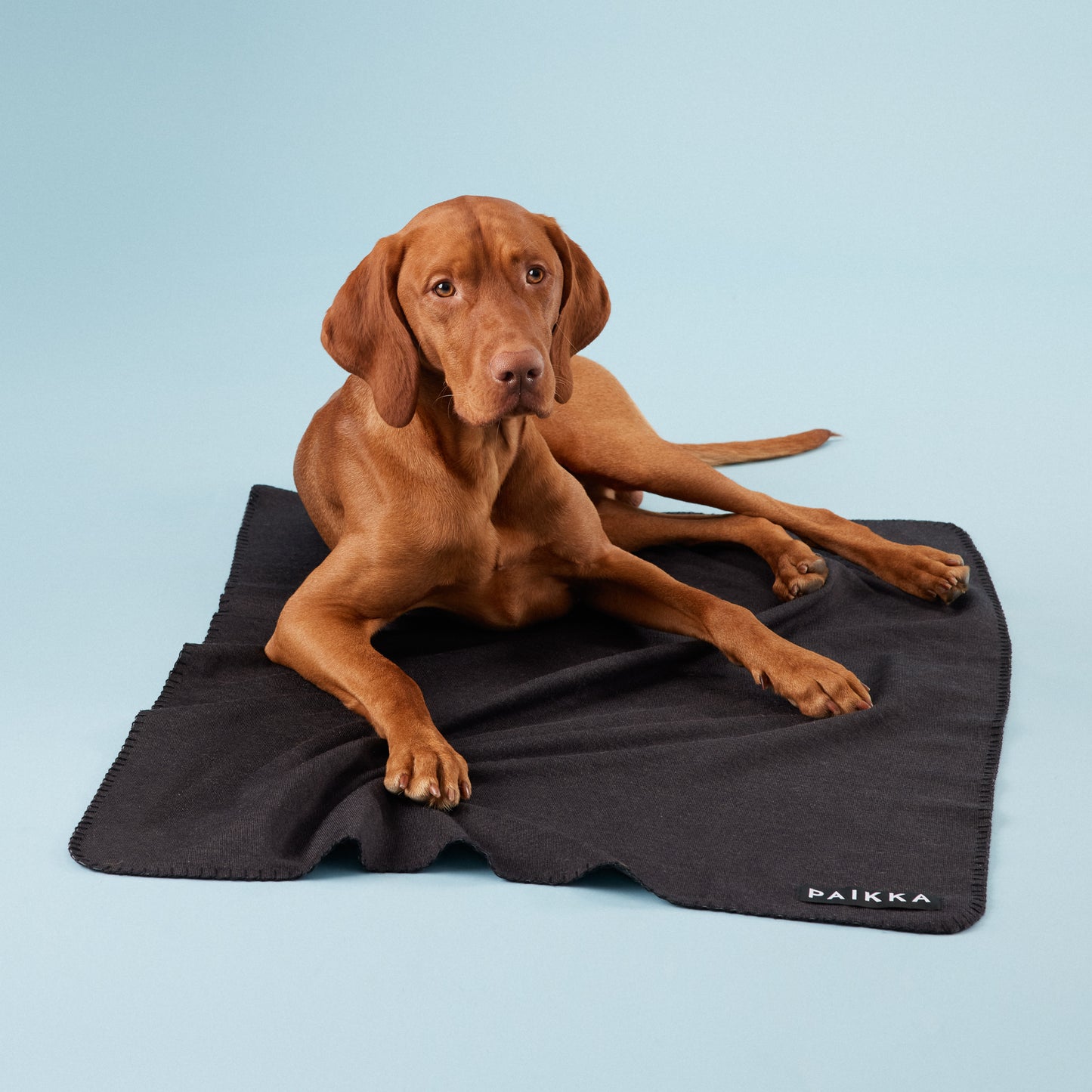 PAiKKA | Decke zur Erholung schwarz/grau | Recovery Blanket for Pets black/grey