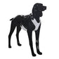 PAiKKA | Vollreflektierendes Hundegeschirr | Visibility Harness for Dogs [glow in the dark]