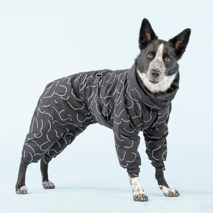 PAiKKA | Winter Suit für Hunde | Winter Suit for Dogs [glow in the dark stripes]