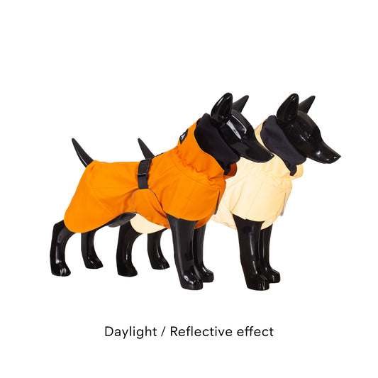 PAiKKA ORANGE | Vollreflektierender Regenmantel für Hunde | Recovery Raincoat for Dogs [glow in the dark]