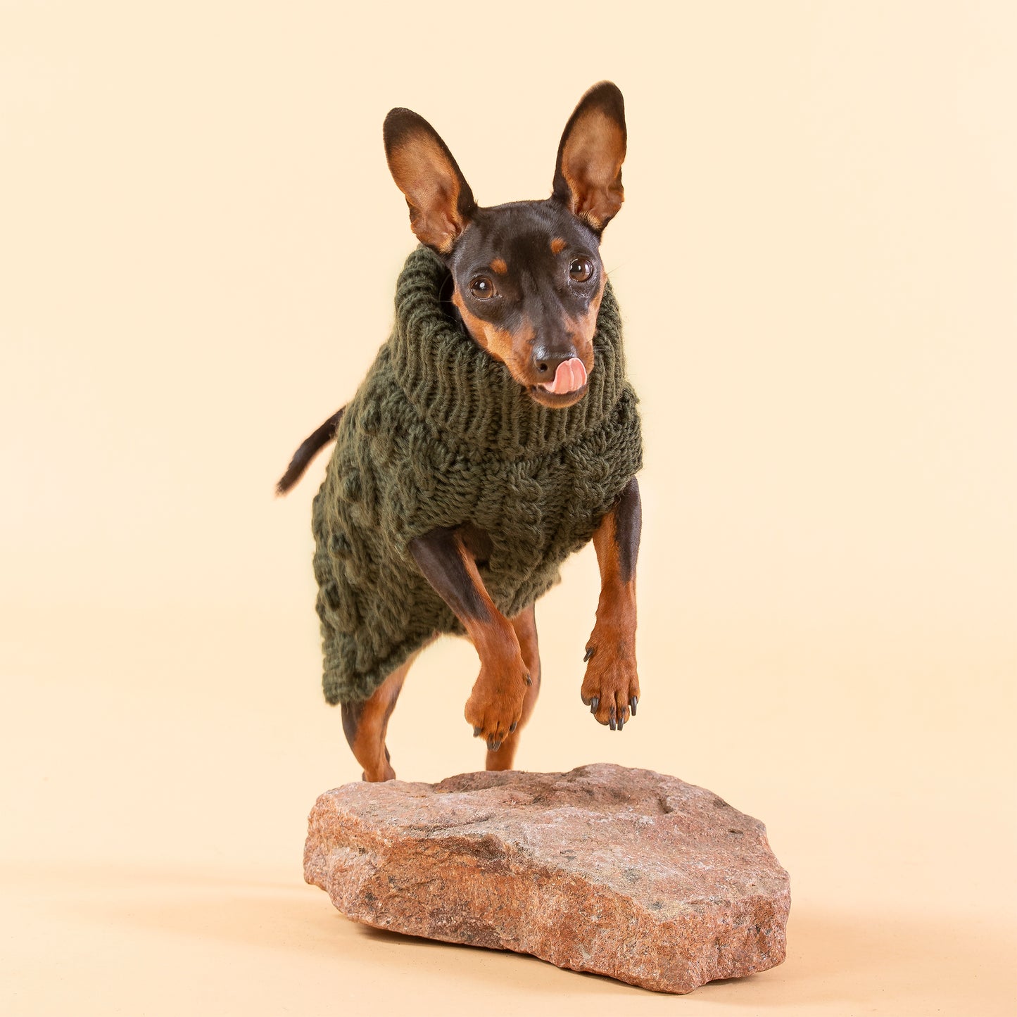PAiKKA | Handgestrickter Pullover für Hunde | Handmade Knit Sweater for Dogs