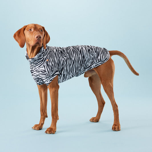 PAiKKA | UV- und Insektenschutz-Shirt | UV & Bug Shirt [Repeltec for Dogs] AKTiONSARTiKEL