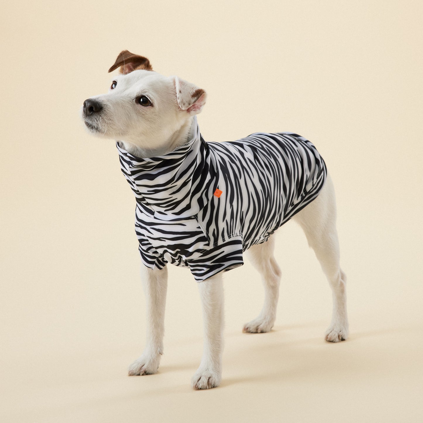 PAiKKA | UV- und Insektenschutz-Shirt | UV & Bug Shirt [Repeltec for Dogs] AKTiONSARTiKEL