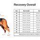 PAiKKA | Jogger | Recovery Overall for Dogs